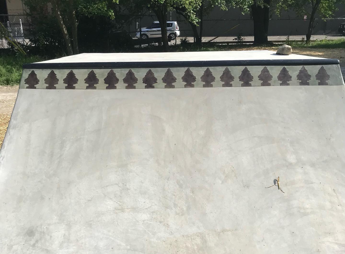 Willard skatepark